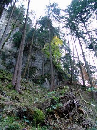 2009-12-01 20:54:11