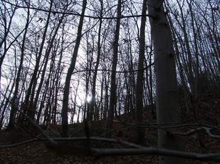 2009-12-01 20:56:28
