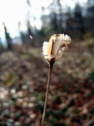 2009-12-01 20:57:27