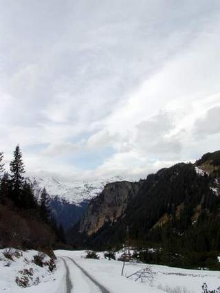 2009-12-01 21:00:24