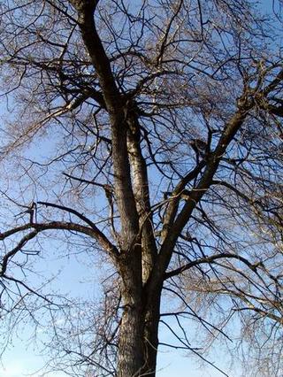 2008-03-31 22:50:36