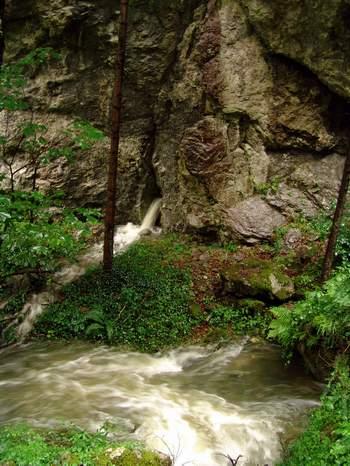 2008-08-07 19:17:23