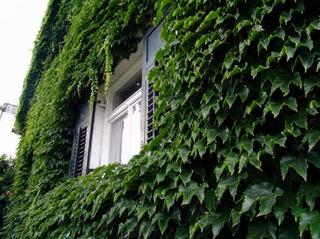2008-08-07 19:20:59