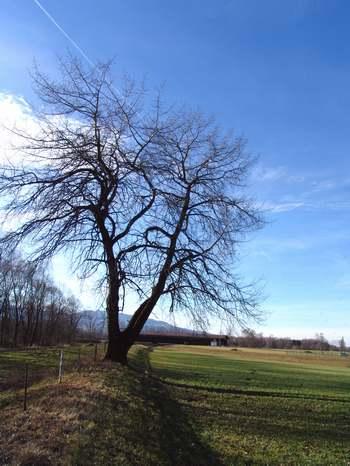 2008-01-31 20:27:12