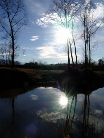 2008-01-31 20:27:52