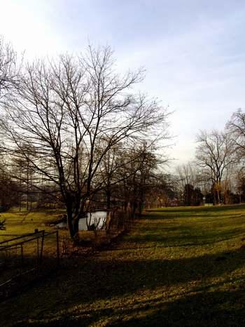 2008-01-31 20:21:12
