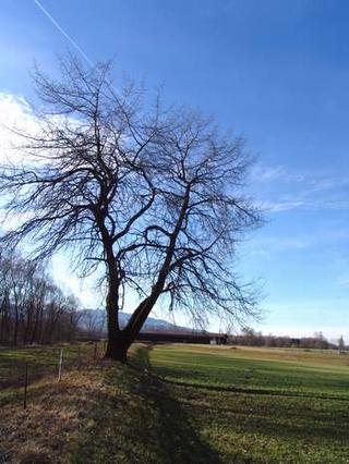 2008-01-31 20:27:12
