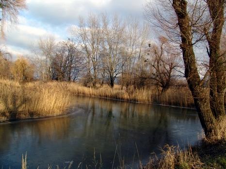 2008-01-04 20:53:42
