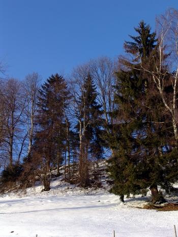2008-01-04 20:38:24