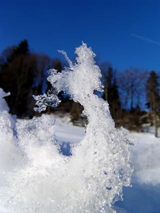 2008-01-04 20:36:40