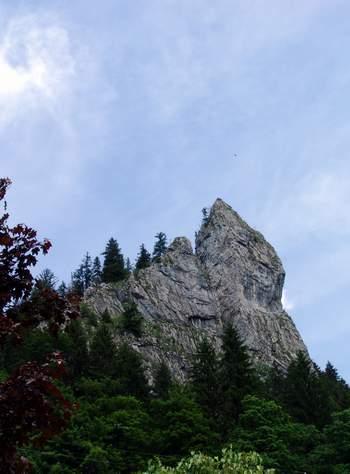 2008-07-01 19:30:43