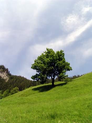 2008-07-01 19:30:59