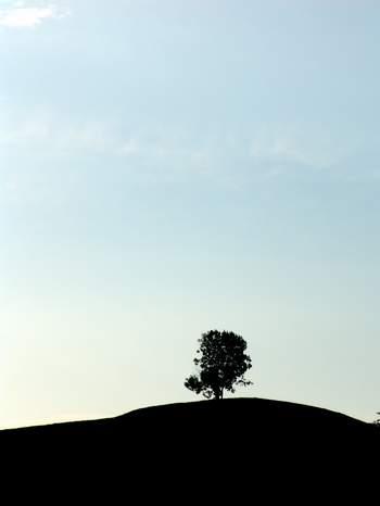 2008-07-01 18:28:13