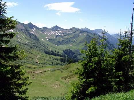 2008-07-01 19:34:13