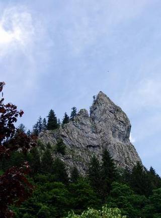 2008-07-01 19:30:43