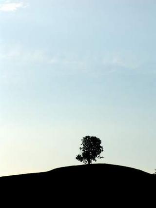 2008-07-01 18:28:13