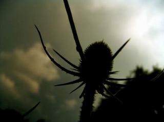 2008-07-01 19:19:52