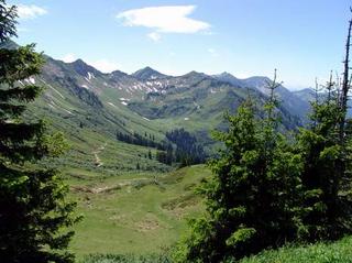 2008-07-01 19:34:13