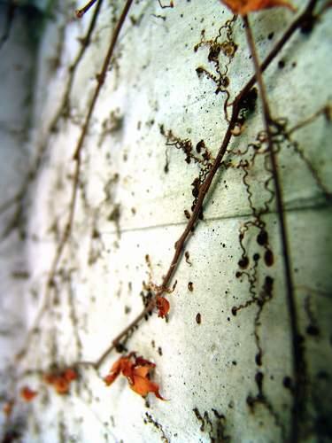 2008-05-31 23:14:50