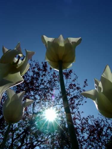 2008-05-31 23:17:11