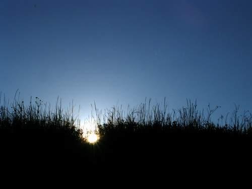 2008-05-31 23:33:14