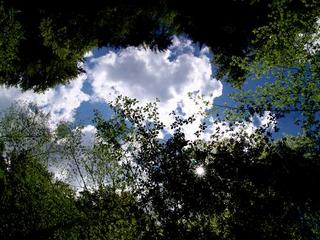 2008-05-31 23:02:21