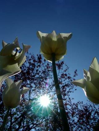 2008-05-31 23:17:11