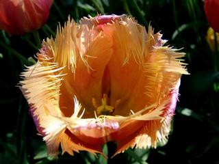 2008-05-31 23:20:33