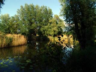 2008-05-31 23:23:03