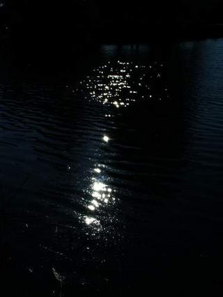 2008-05-31 23:23:43