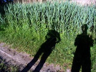 2008-05-31 23:24:56