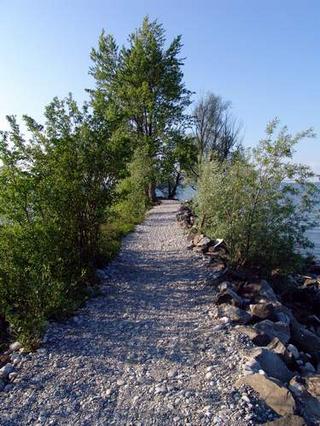 2008-05-31 23:31:05