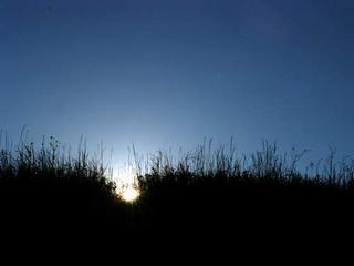 2008-05-31 23:33:14