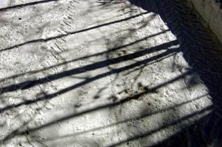 2008-03-08 00:27:18
