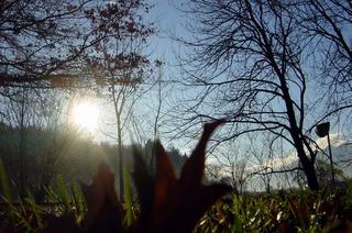 2008-03-08 00:29:10