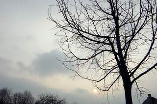 2008-03-08 00:33:06
