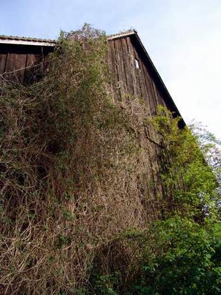 2008-05-01 02:10:47