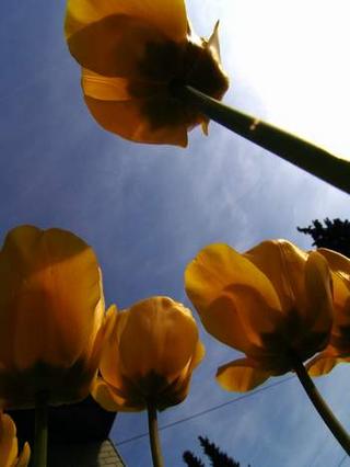 2008-05-01 02:10:47