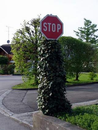 2008-05-01 02:10:47