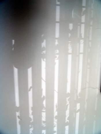 2008-09-30 21:50:31