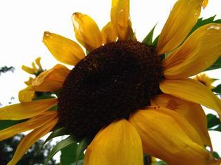 2008-09-30 21:52:28