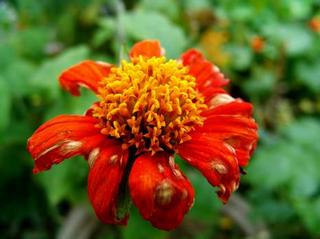 2008-09-30 21:53:08