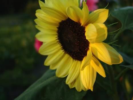 2008-08-31 12:45:25