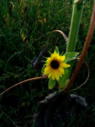 2008-08-31 12:40:43
