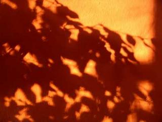 2006-03-31 09:49:26
