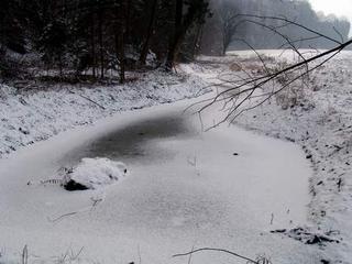 2009-01-31 21:13:59