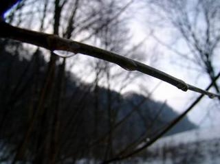 2009-01-31 21:14:36