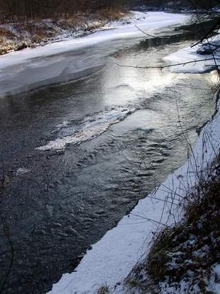 2009-01-31 21:18:14