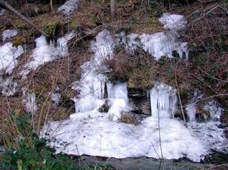 2009-01-31 21:19:20