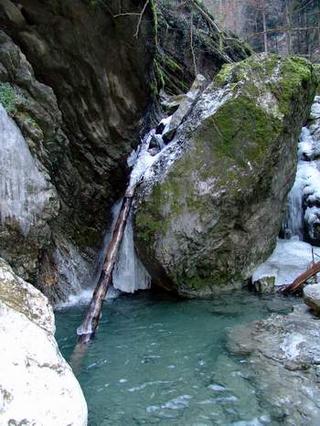 2009-01-31 21:29:10